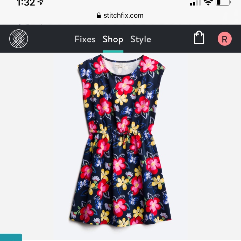 Rumi Ryder Stitch Fix Dress